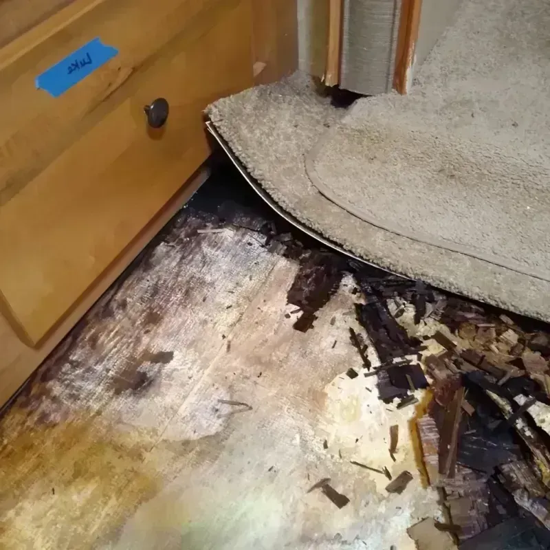 Wood Floor Water Damage in Drexel, NC